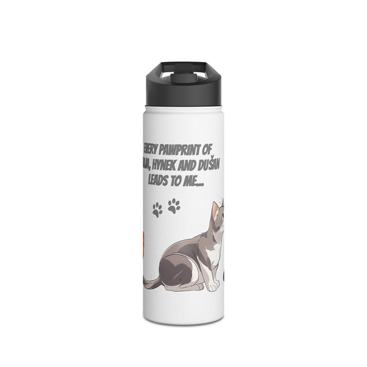 Whimsical Cat-Themed Stainless Steel Water Bottle, Pet Lover Gift, Travel Hydration, Cute Animal Design, Everyday Use