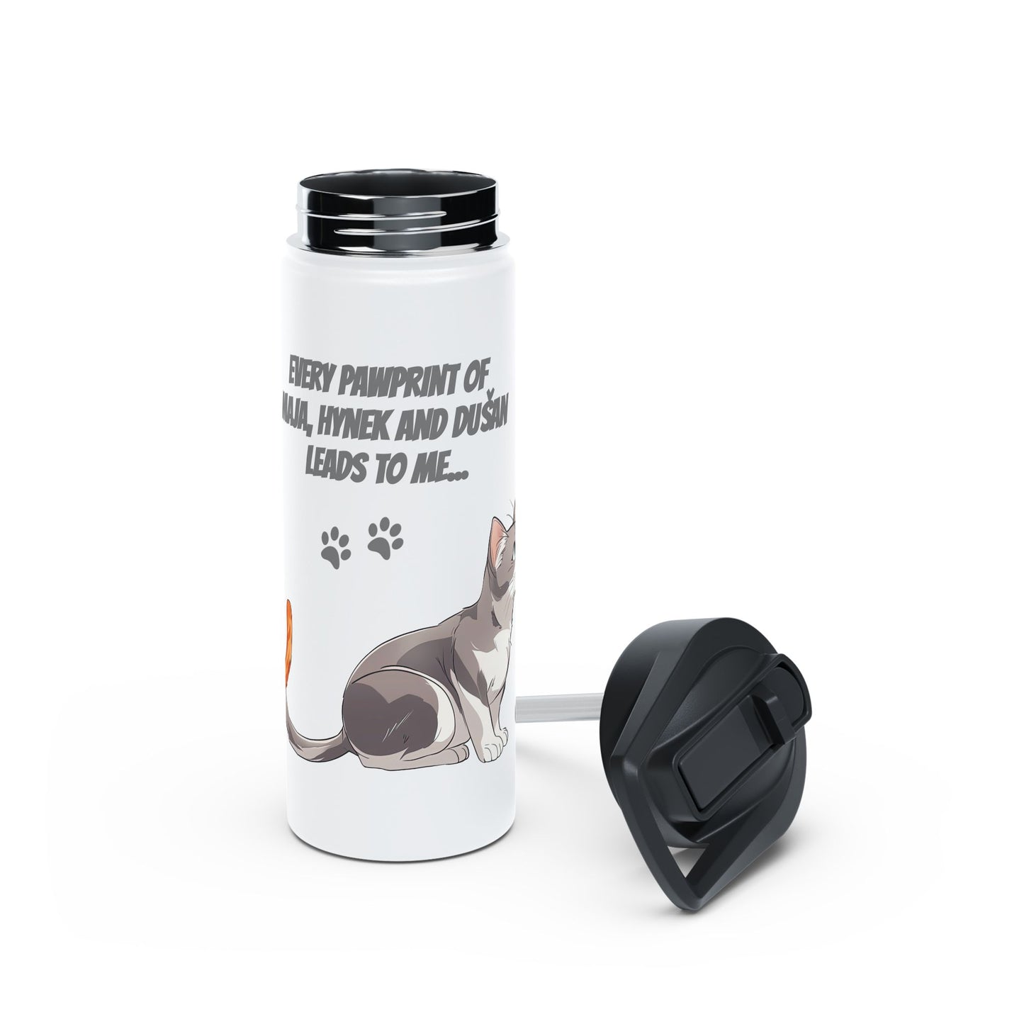 Whimsical Cat-Themed Stainless Steel Water Bottle, Pet Lover Gift, Travel Hydration, Cute Animal Design, Everyday Use